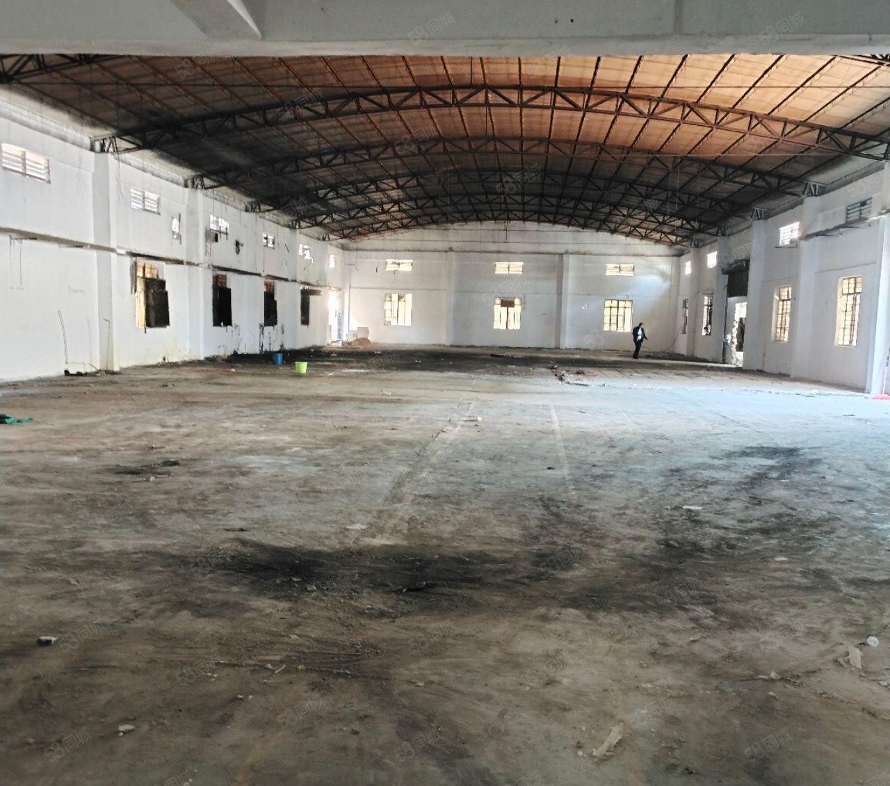 东城油塘独门独院厂房出租