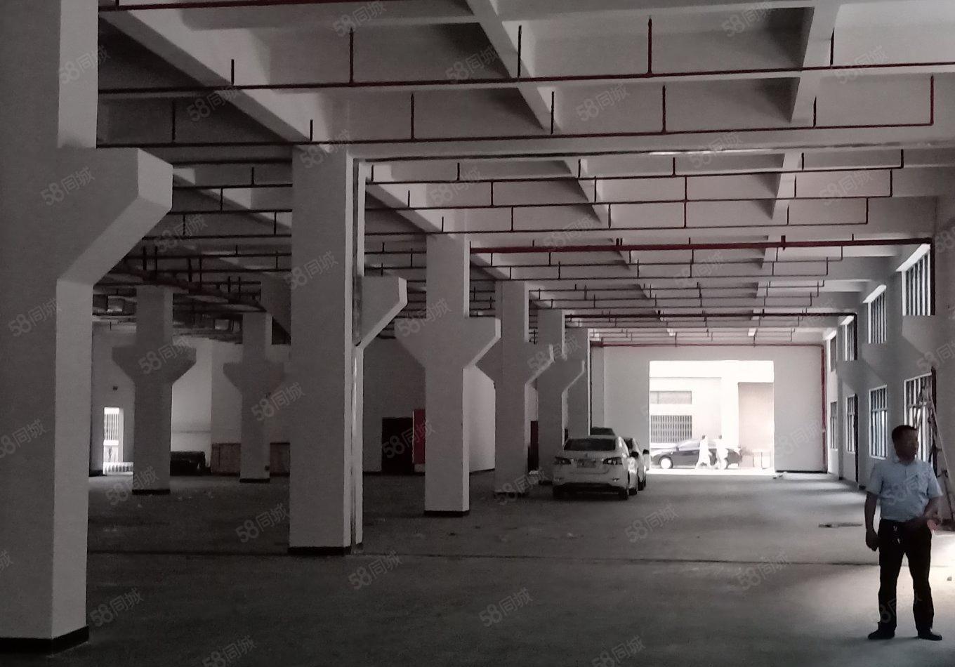 中山坦洲第三工业区8000平红本厂房出租1000平起租