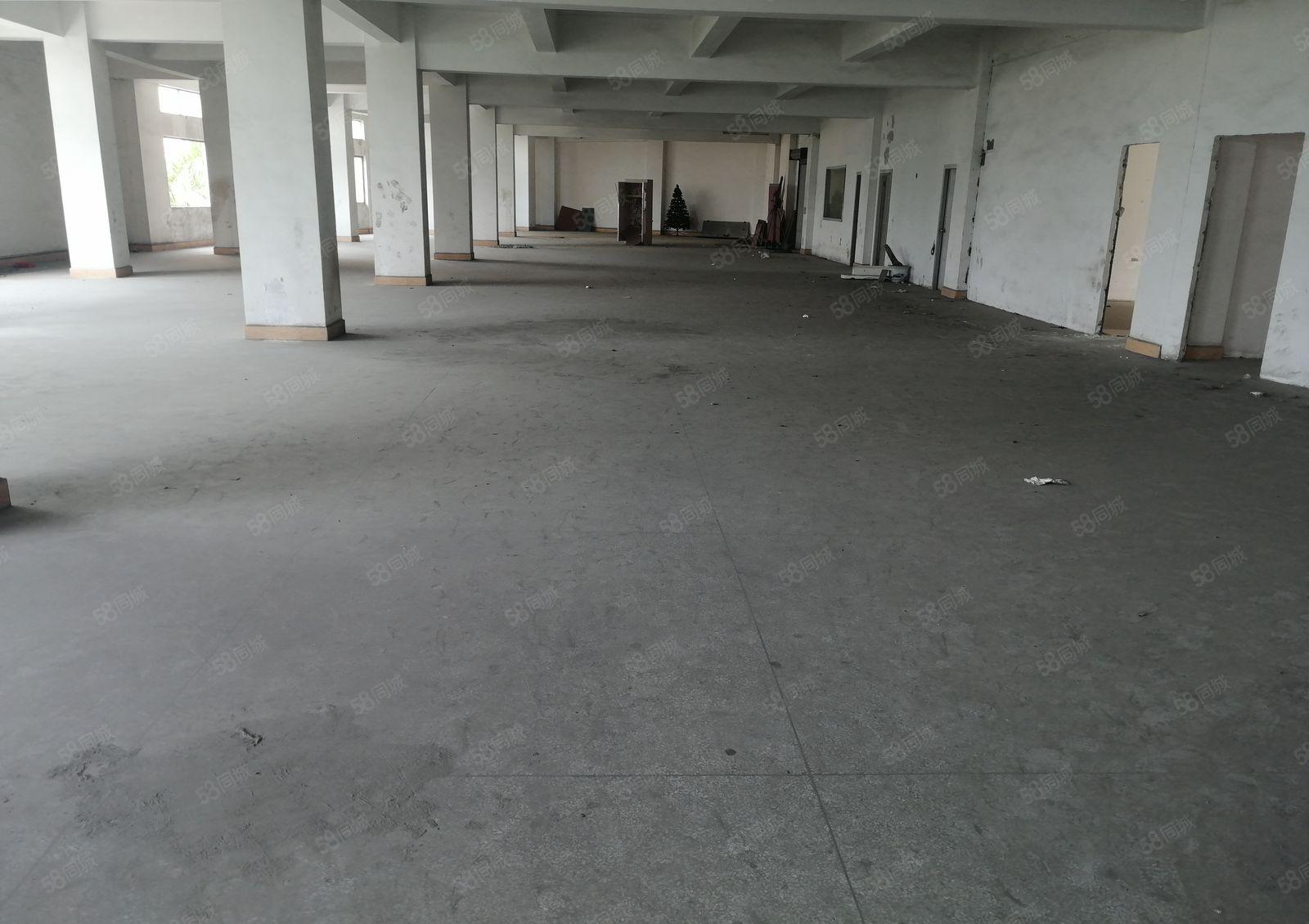 1000平钢结构厂房出租，温塘竹园附近