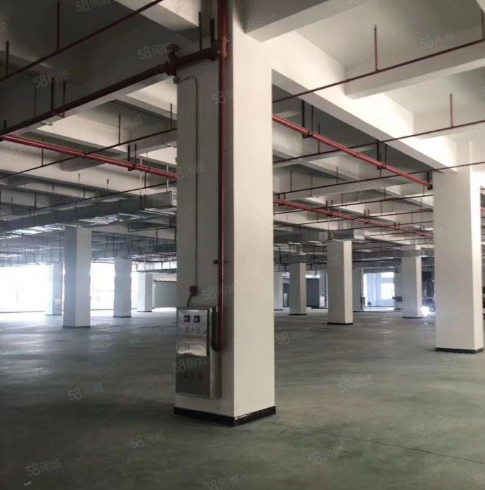 东城 温塘 全新厂房 共5000平方，10元急租