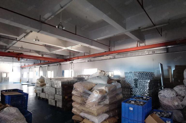 东城镇小面积厂房出租200~15000平方，水电齐全无尘车间