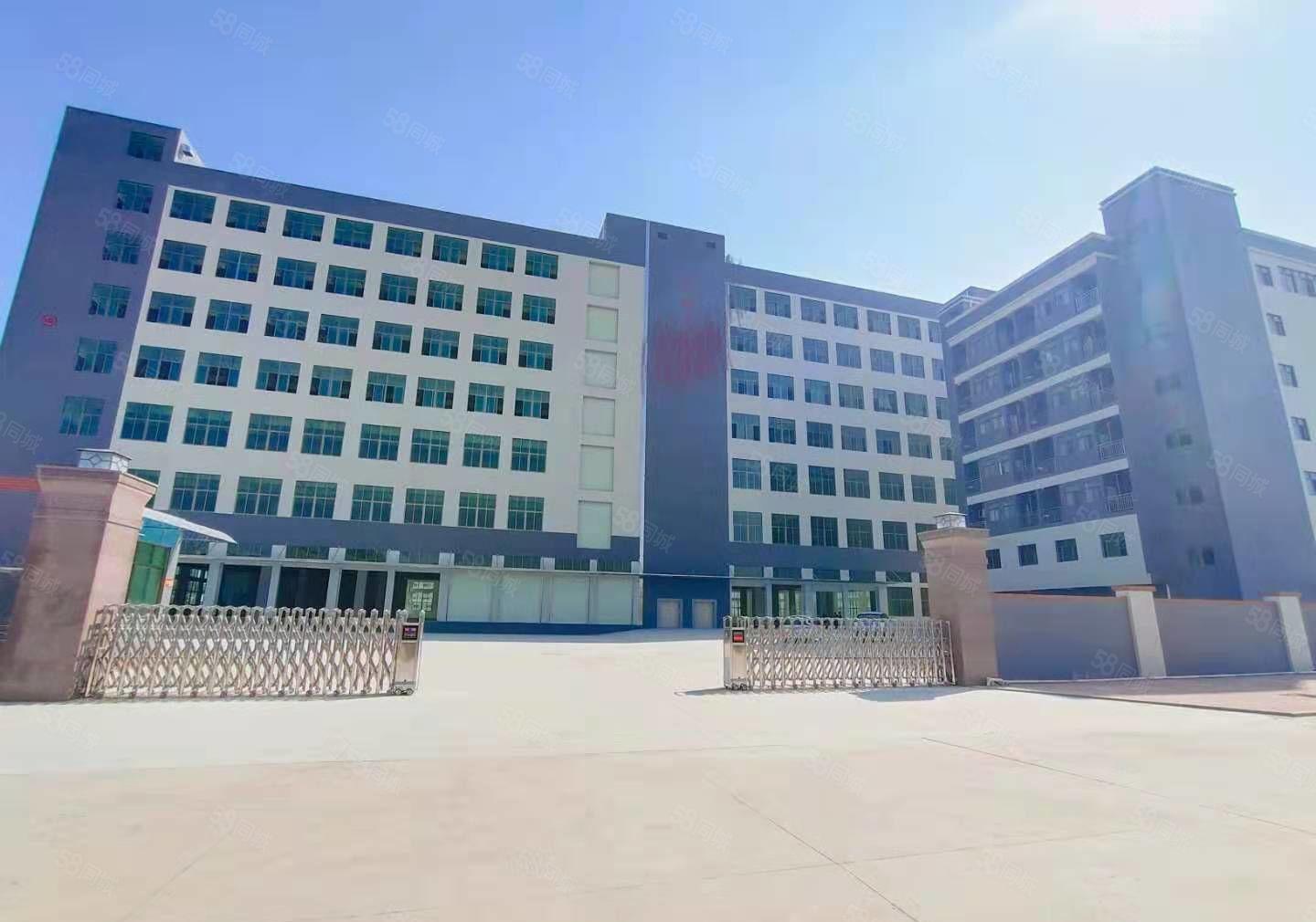 赠免租期！东莞东城区25800方厂房出租，可分租 形象好