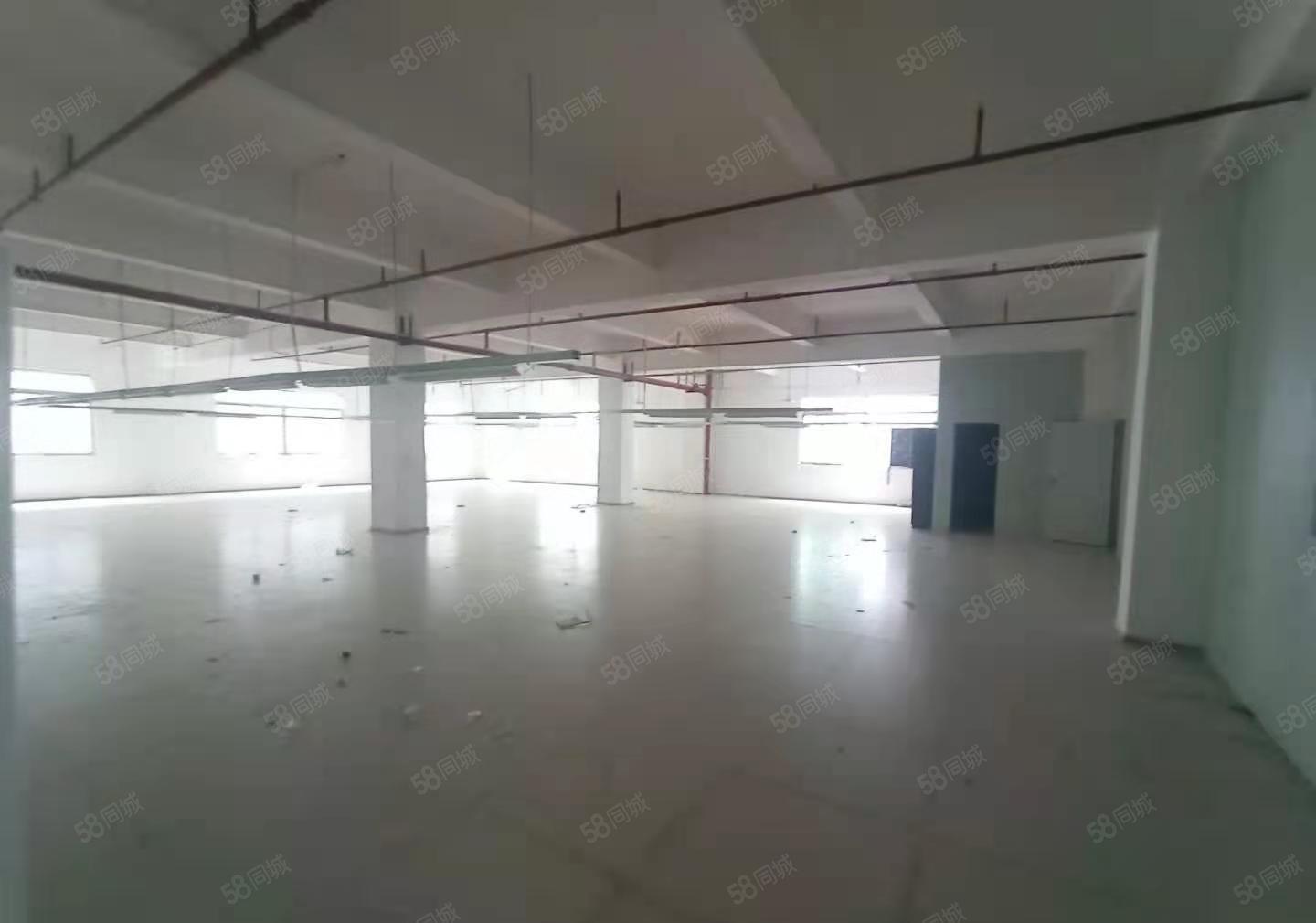 东城桑园标准厂房分租楼上600平方精装修形象好近邻环城东路