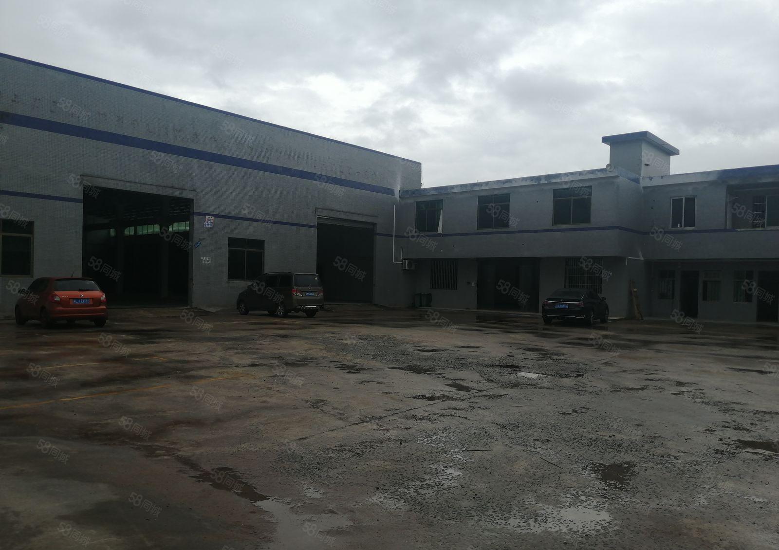 1000平钢结构厂房出租，温塘竹园附近