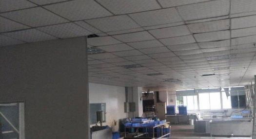 凤岗雁田楼上带带装修吊顶办公室厂房出租2100平