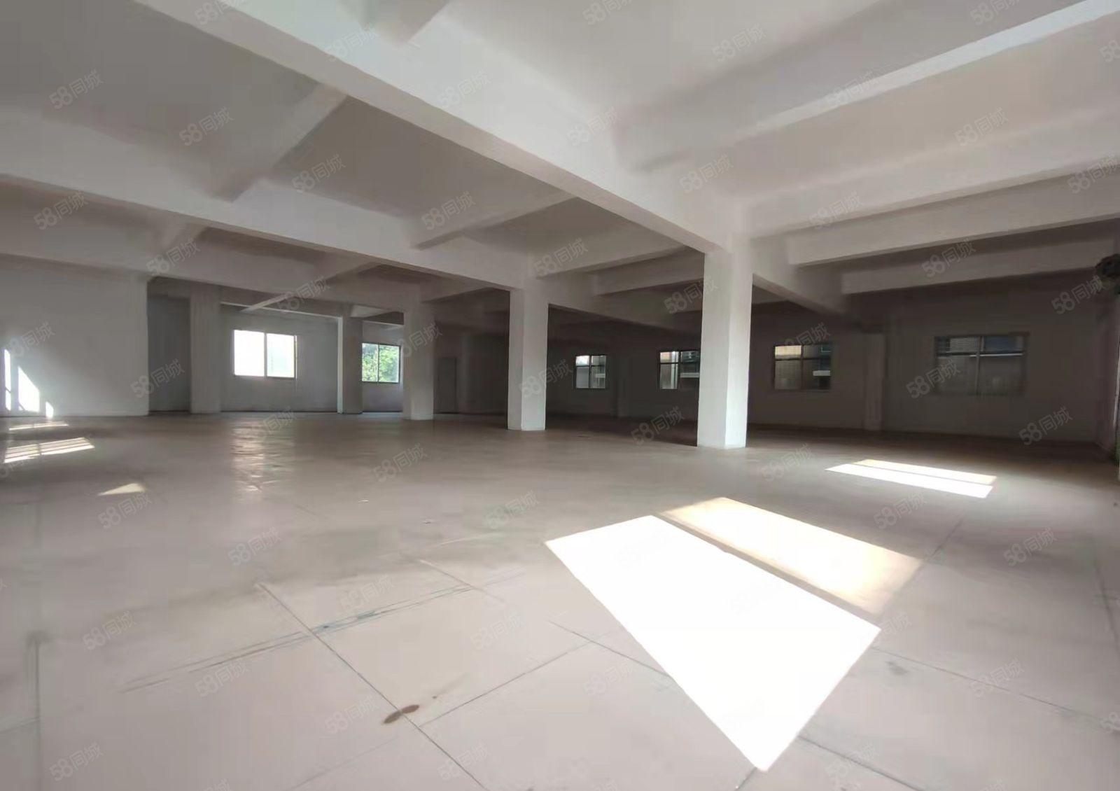 东风社区本地一手房东厂房招租，每层580平方，300平方起租