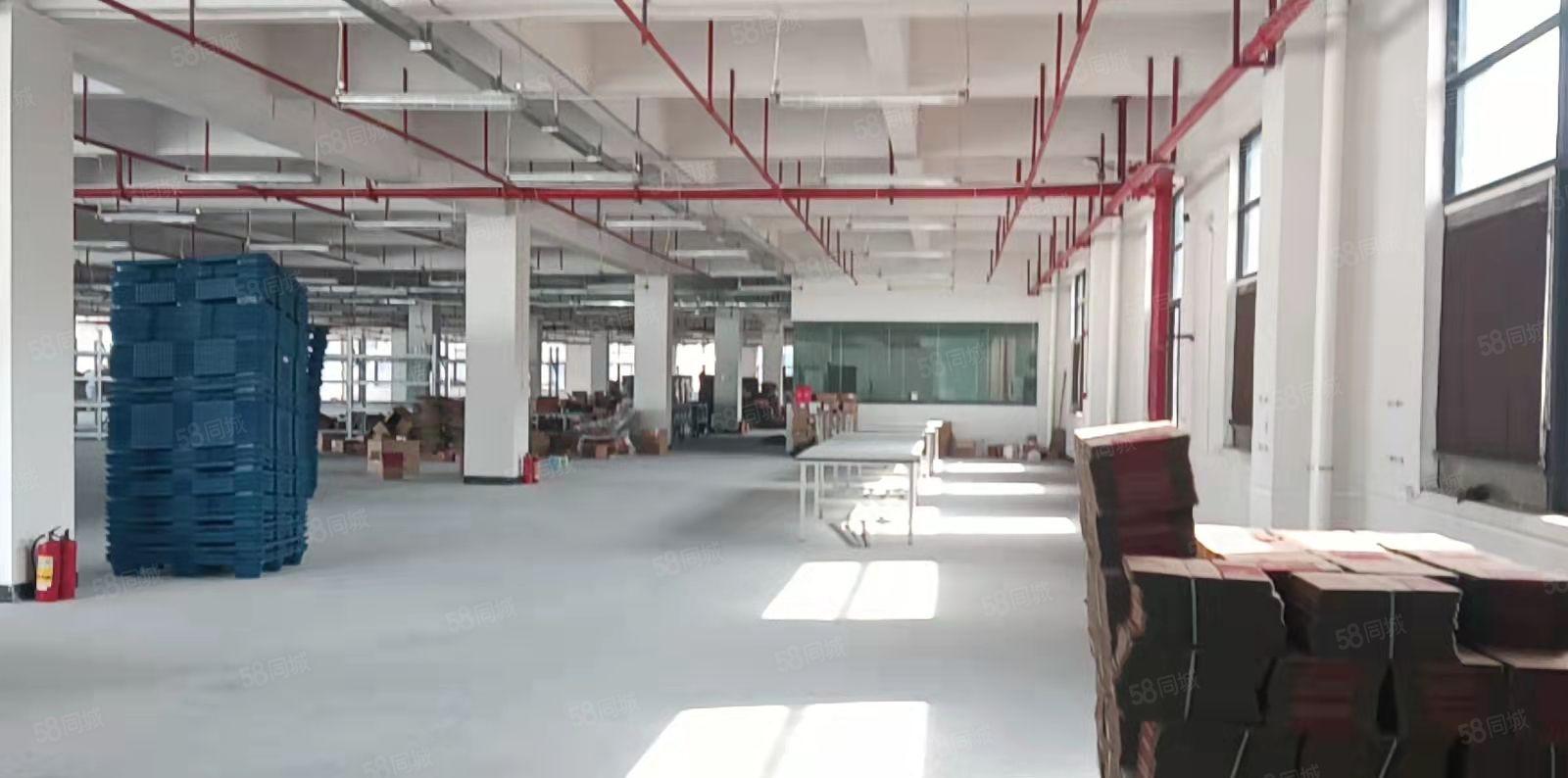 虎门镇北栅原房东独院厂房12000平方厂房出租可以分租