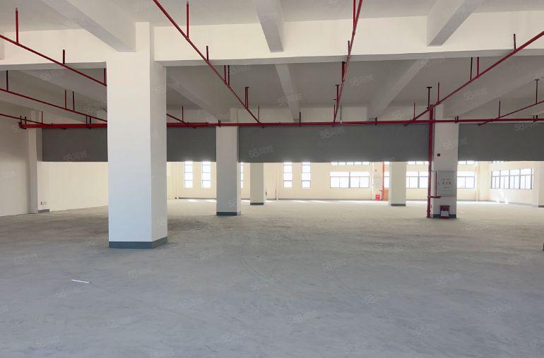 虎门怀德实际面积2300平方全新红本厂房出租5吨货梯电子仓库