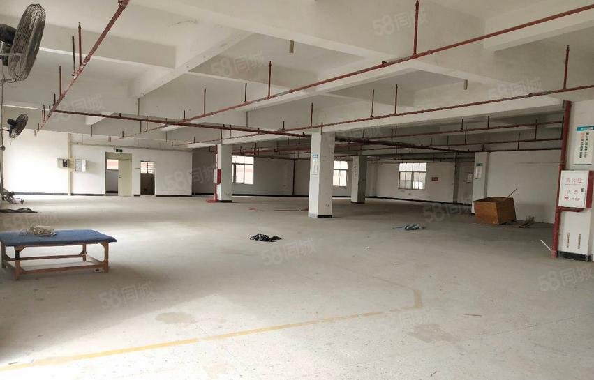 南栅四区附近厂房招租，2楼3楼600平方