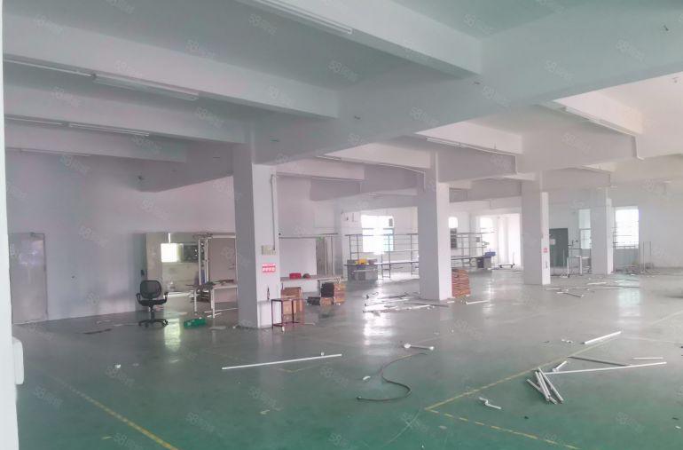 10元东莞虎门花园厂房出租带100平起分新地坪漆大园区好停车