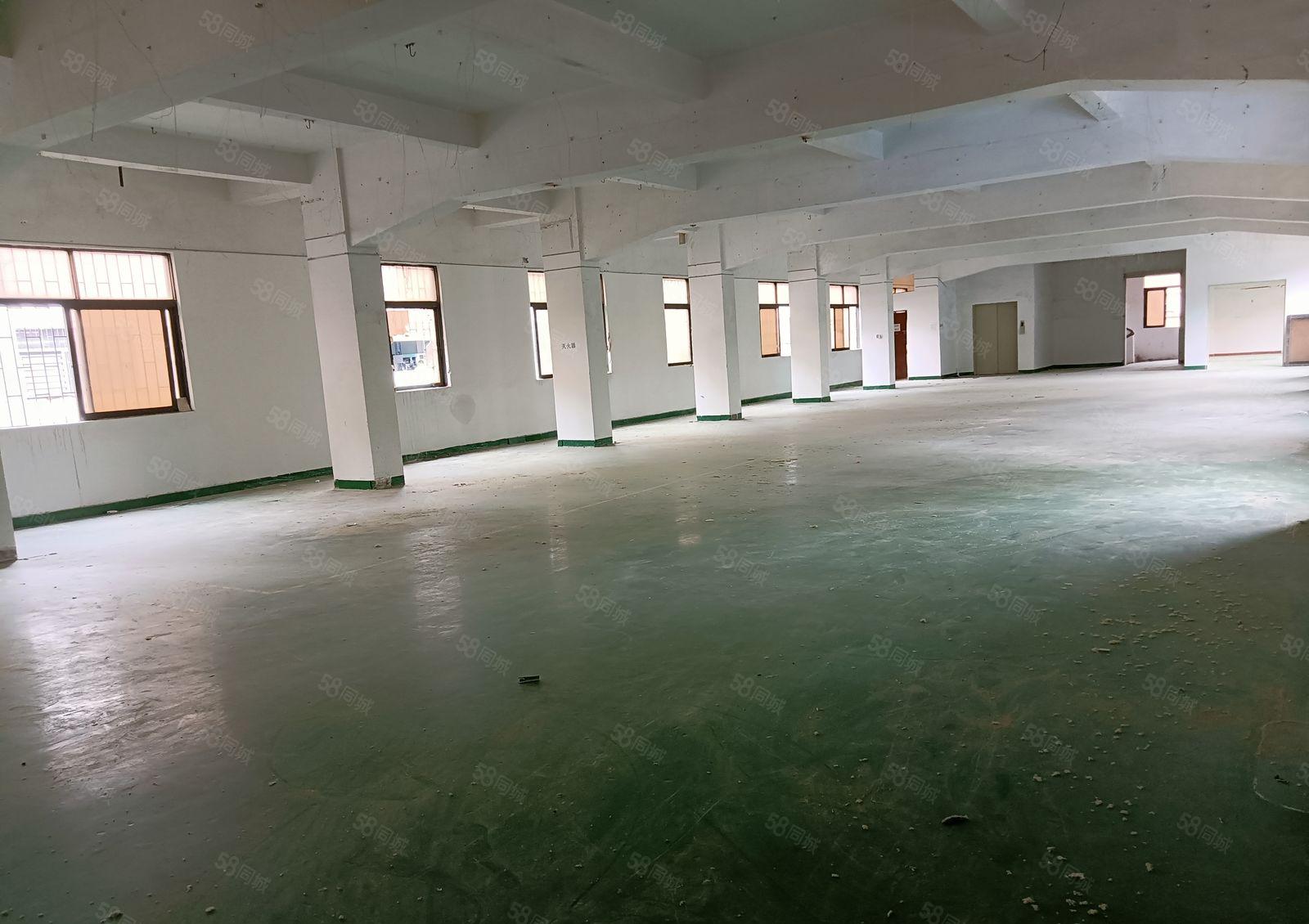 虎门镇南栅工业区独院厂房2300平方