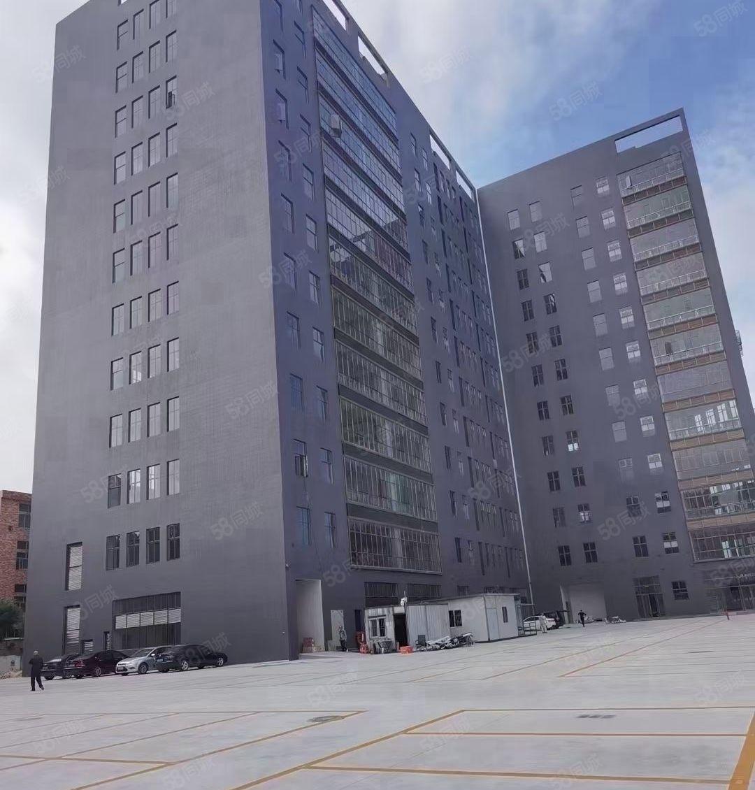 虎门北侧独门独院全新厂房可整租分租高水滴10米