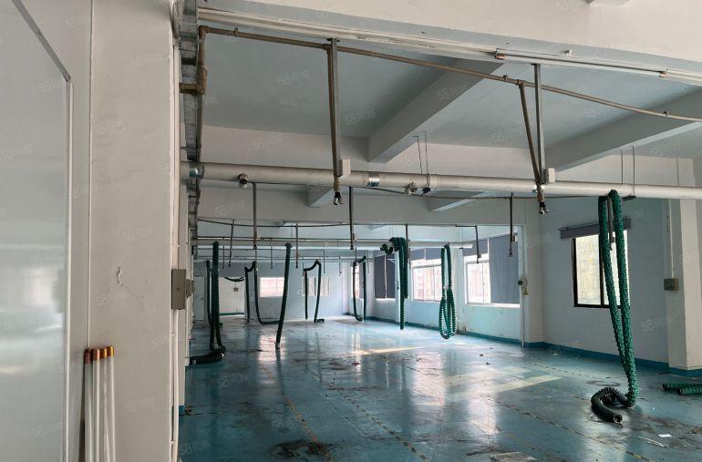 小面积经典小独院2400方带有精装修价格只要15元合同期限长