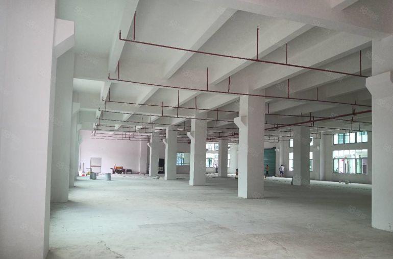 虎门南栅工业区原房东厂房出租10000平米可分租500平米起