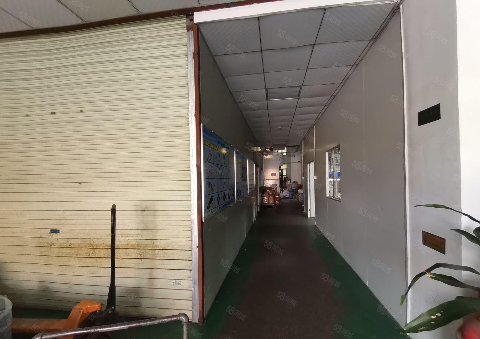 虎门龙眼新出一楼1800平 水电齐全带装修