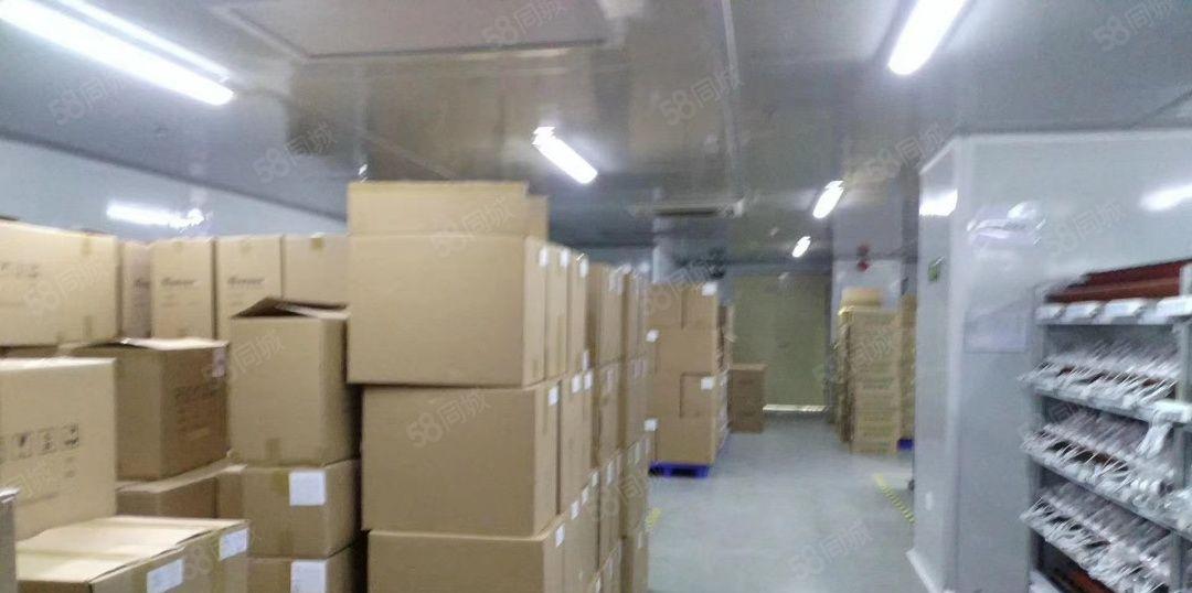 虎门镇原房东厂房2万，宿舍6000平方，独门独院无尘车间招租