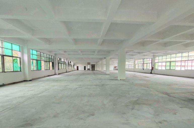 虎门独院厂房8元出租全新地坪漆，空地大交通好