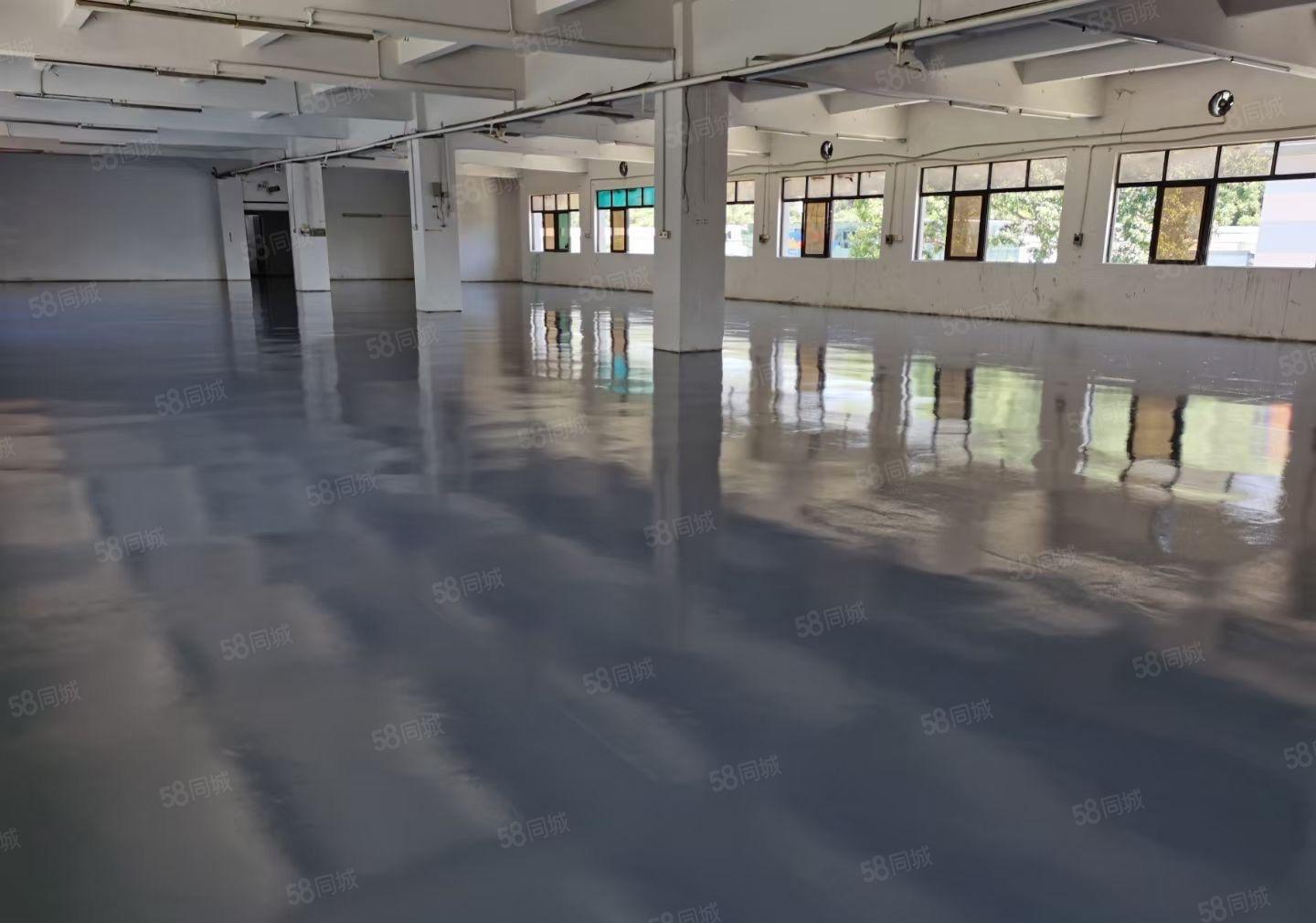 虎门新出独院3500平米经典厂房出租