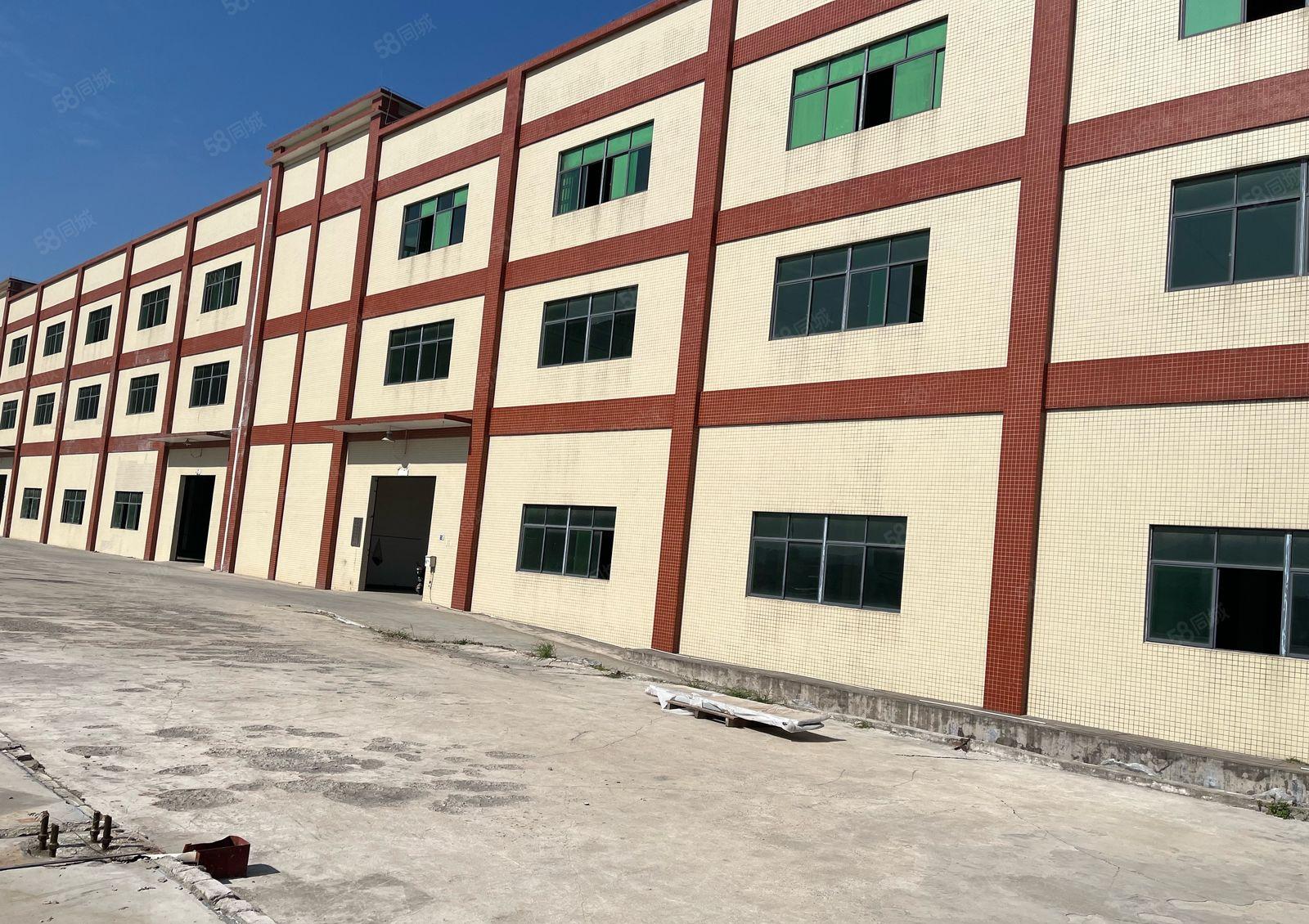 大岭山新出原房东标准厂房13层一楼高度6米空地超大可办环评