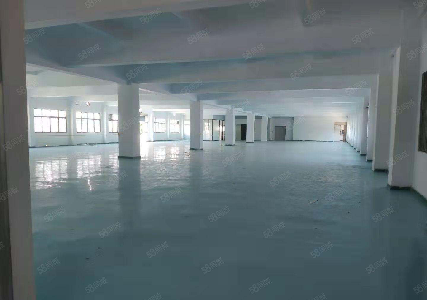 虎门南栅空出楼上2000平现成精装修厂房出租