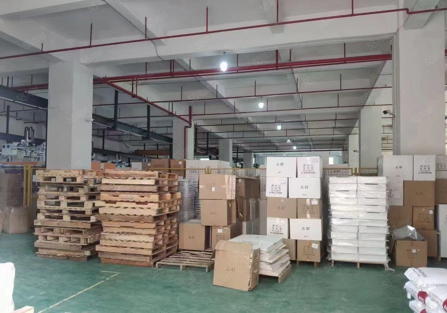 虎门镇原房东独门独院花园式厂房原房东标准一楼1000平方