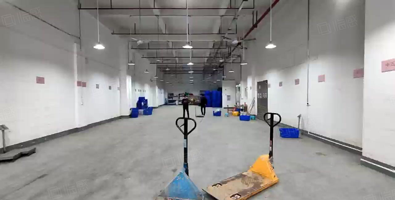 (一楼高度8米)虎门镇大宁一楼850方带精装修办公室