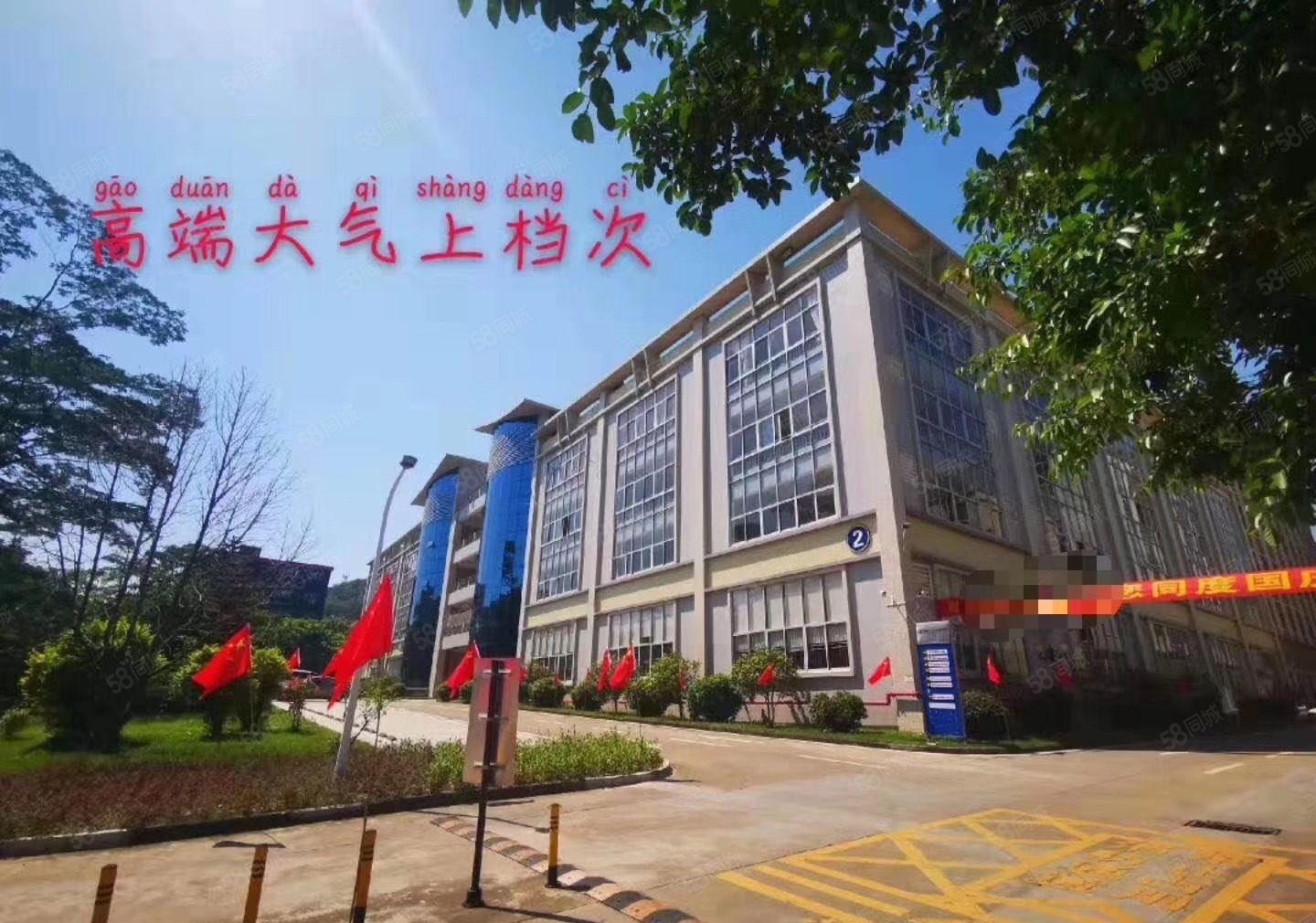 虎门滨海湾新区花园式厂房2000至8000平厂房出租可分租