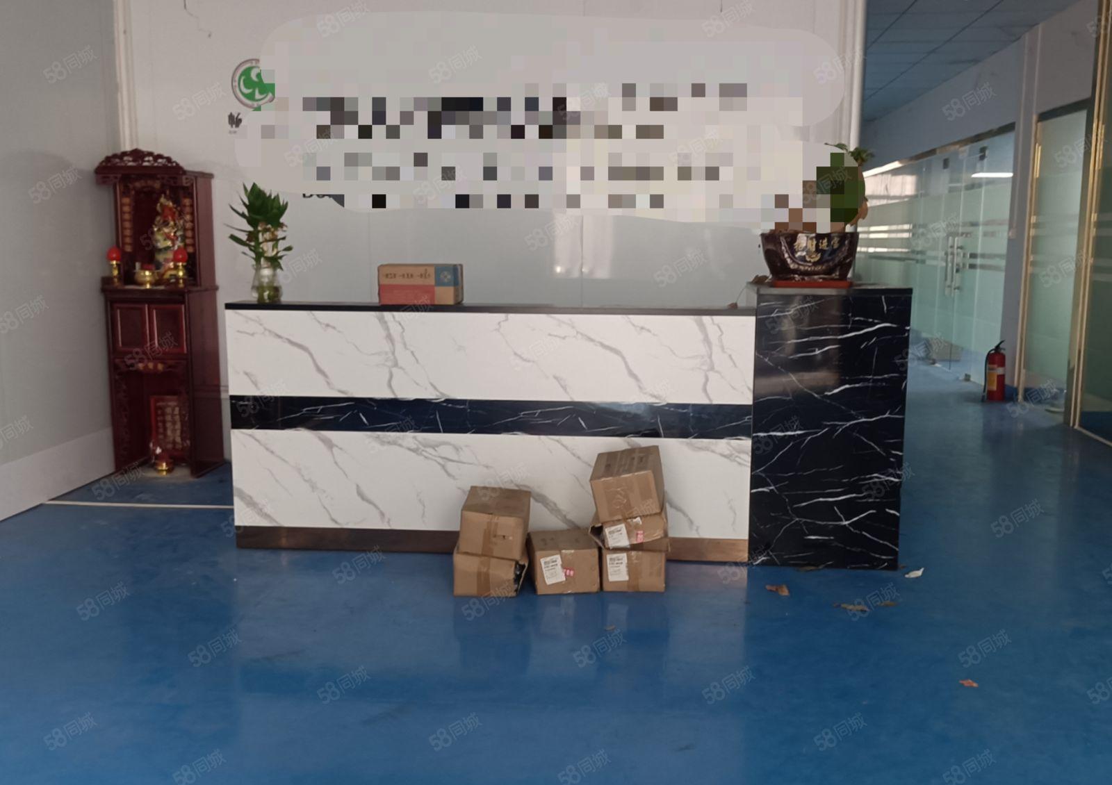 东莞虎门南栅长安原房东一楼3000平精装修办公室可分厂房出租