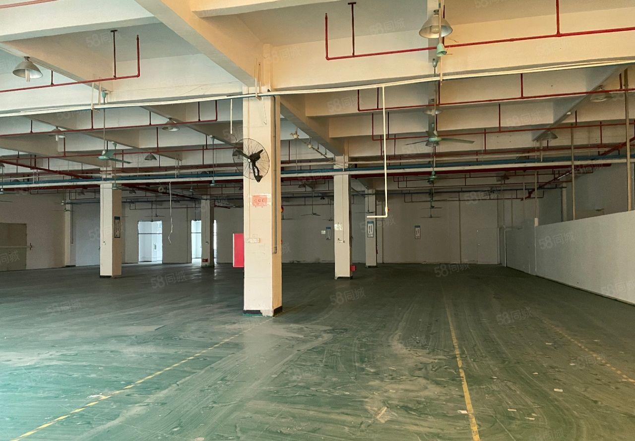 虎门新出独门独院厂房，靠近环莞快速交通便利，工业用地可办环评