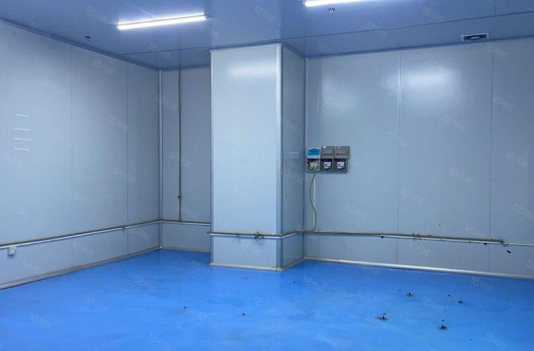 虎门镇树田新出带无尘车间厂房楼上2300平方