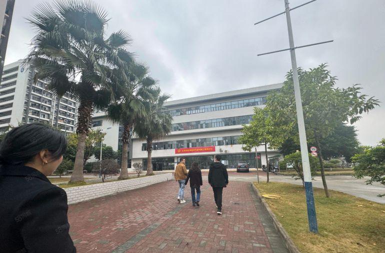 虎门花园式超大空地上市公司形象红本重工业带消防喷墨厂房