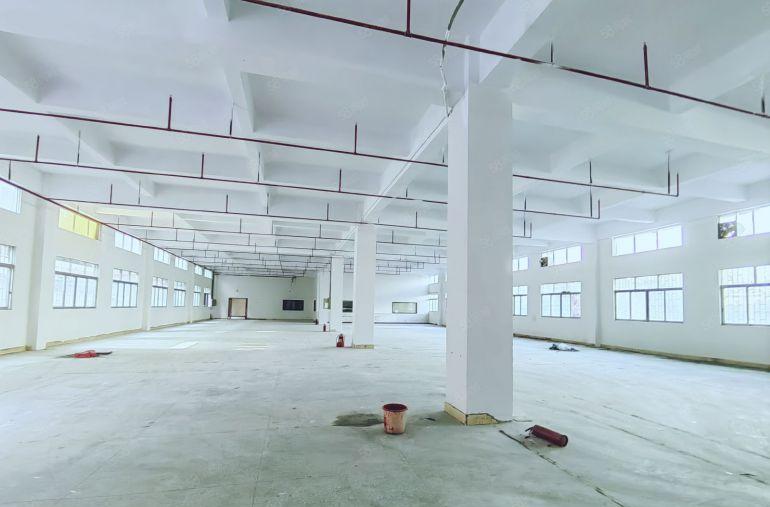 虎门沿江高速出口南部湾附近独院 适合注塑模具机械设备包材电子