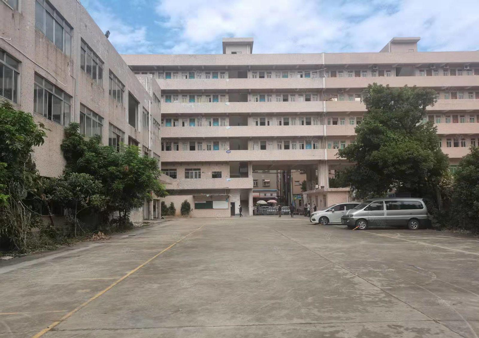 龙眼村新空出原房东独院厂房出租，价格优惠