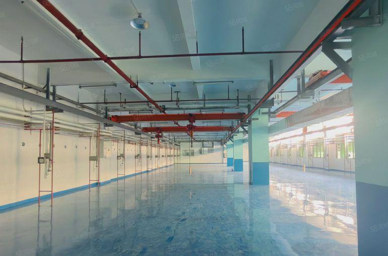 原房东现成装修全新地坪漆现成航吊空地大好停车临近沿江高速环莞