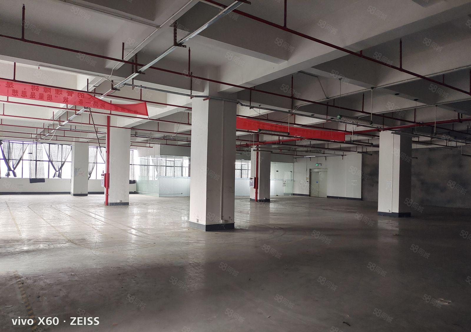 虎门镇树田分租重工业厂房4楼1150平方厂房出租