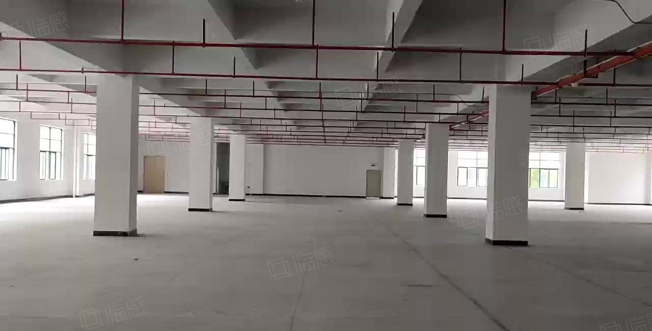 笋盘！虎门镇白沙二楼3580方花园式厂房出租现成消防喷淋