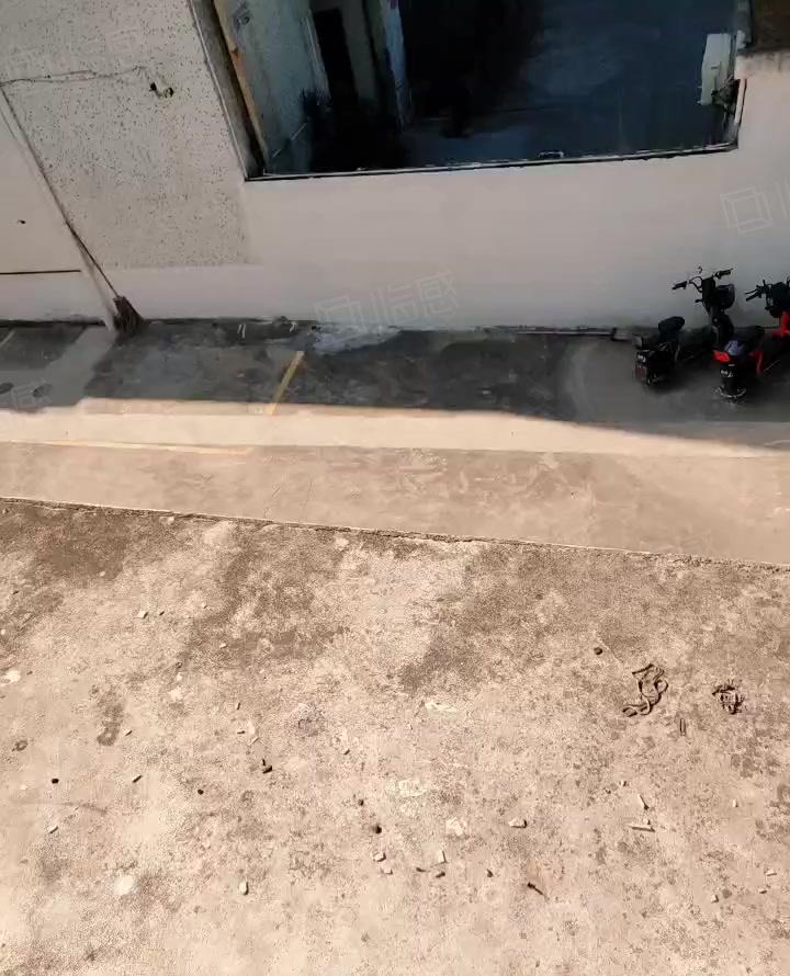 免两个月装修期！虎门独门独院全新翻新有宿舍可办环评可整租分租