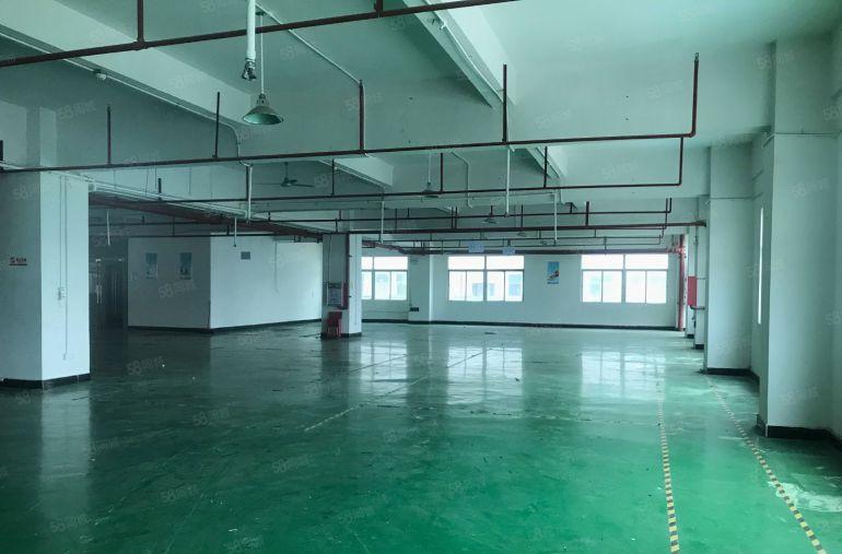 虎门镇怀德800平 带精装修厂房 有地坪漆办公室 园区形象好