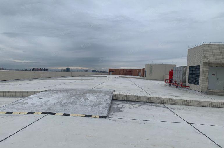 全新汽车坡道仓库出租 高端轿车汽车仓库 可上楼码头一公里内