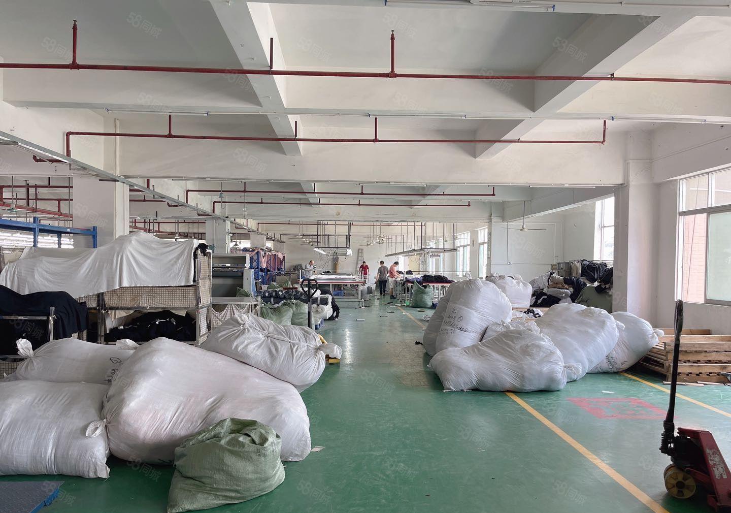 虎门镇一手房东带红本花园式经典独门独院厂房，实际面积！可分租