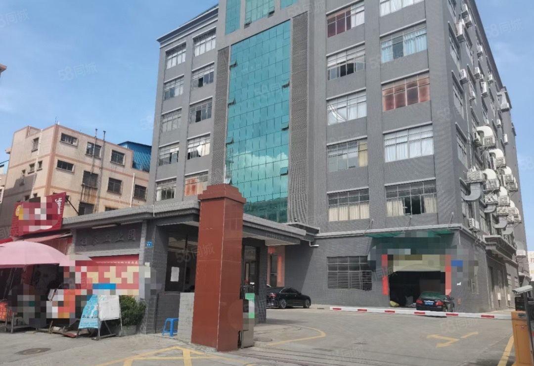 龙眼11路新出一个7米高一楼1470平带装修出租可分租