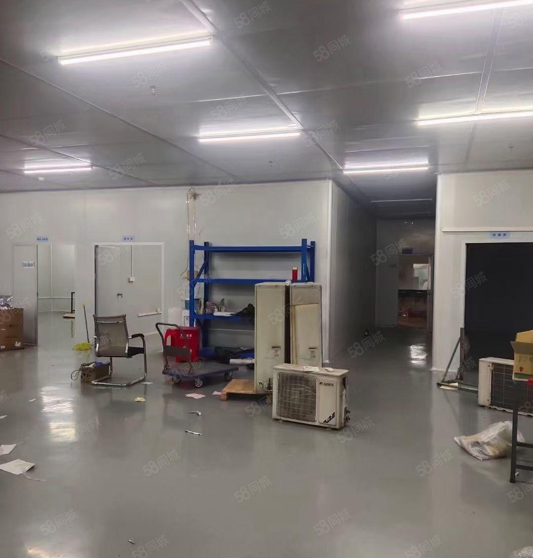 虎门临广深高速新出一楼层高7.2米精装厂房850平出租