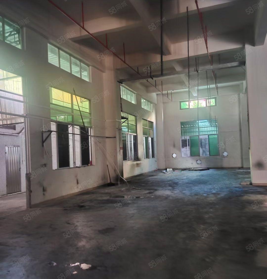 虎门怀德新出1楼1530平厂房  层高7米水电齐全带装修