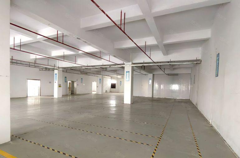 虎门 北栅 靠近长安原房东独院空地大形象好低价出租