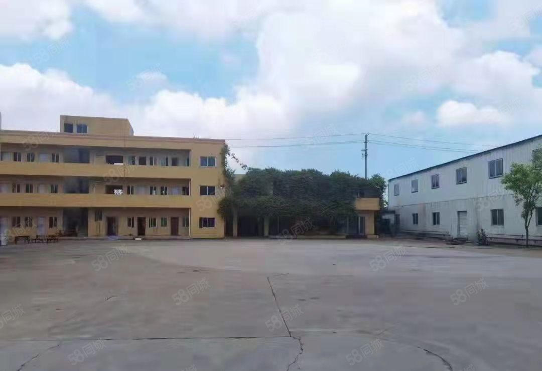 虎门花园式独门独院4600平方滴水9米钢结构厂房出租