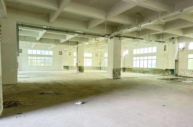 虎门沙角路东靠近长安独门独院厂房，空地大，好停车，易招工