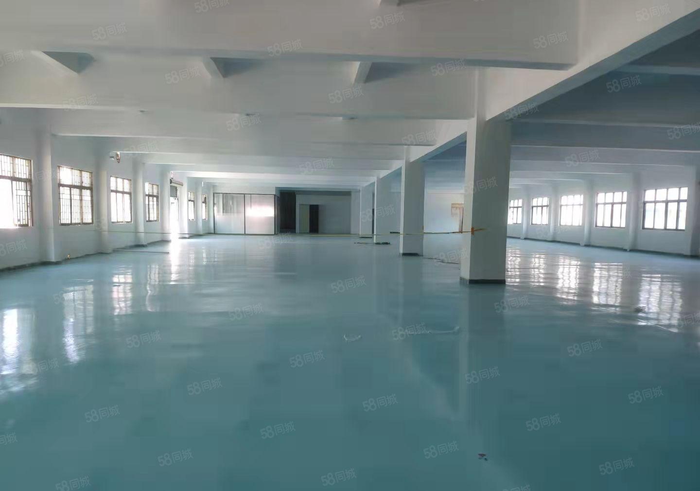 虎门南栅五区新空出2楼2000平现成精装修厂房出租