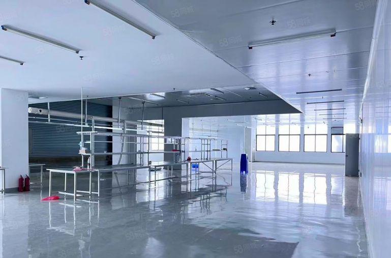 虎门 树田靠近长安楼上重工业2380平方豪华现成电子 精装修