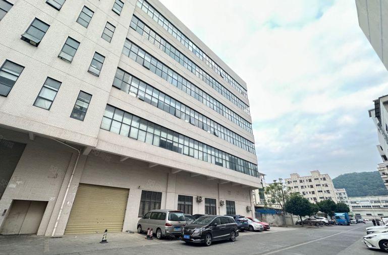 虎门树田树安路原房东独门独院厂房出租