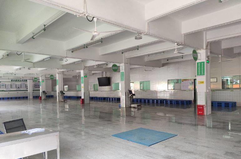 虎门新联业主独院厂房出租6000平米可分租价格便宜近高速口好